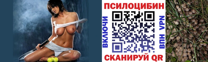 Купить где  Апатиты  Галлюциногенные грибы Magic Shrooms 